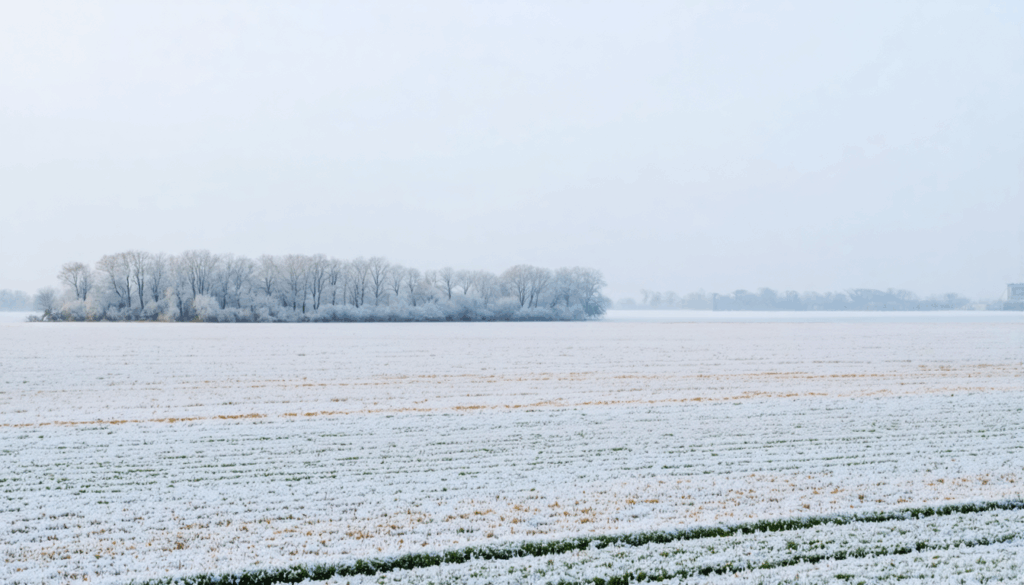 préparez-vous à un épisode hivernal marqué par un froid intense et de la neige en plaine entre noël et le nouvel an, avec des conditions météorologiques rigoureuses à prévoir.